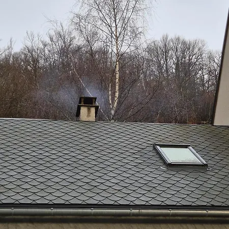 Le Petit Ely Appartement Thiézac