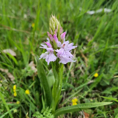 Le Petit Ely Appartement