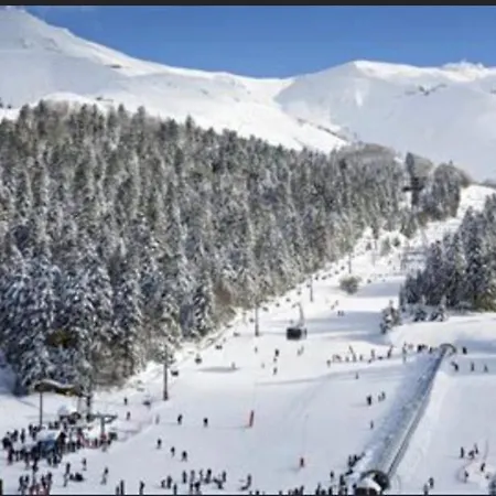 Le Petit Ely Appartement Thiézac