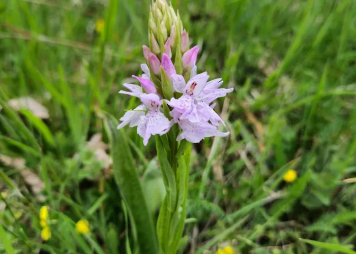 Le Petit Ely Apartment