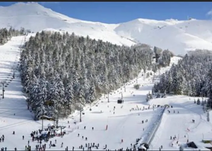 Le Petit Ely Apartment Thiezac